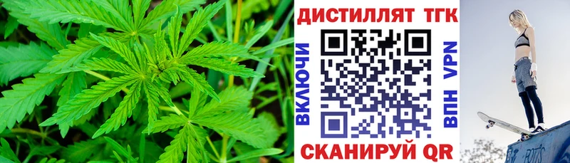 Дистиллят ТГК Wax  Купить где  Лермонтов 